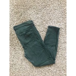 LOFT women’s pants